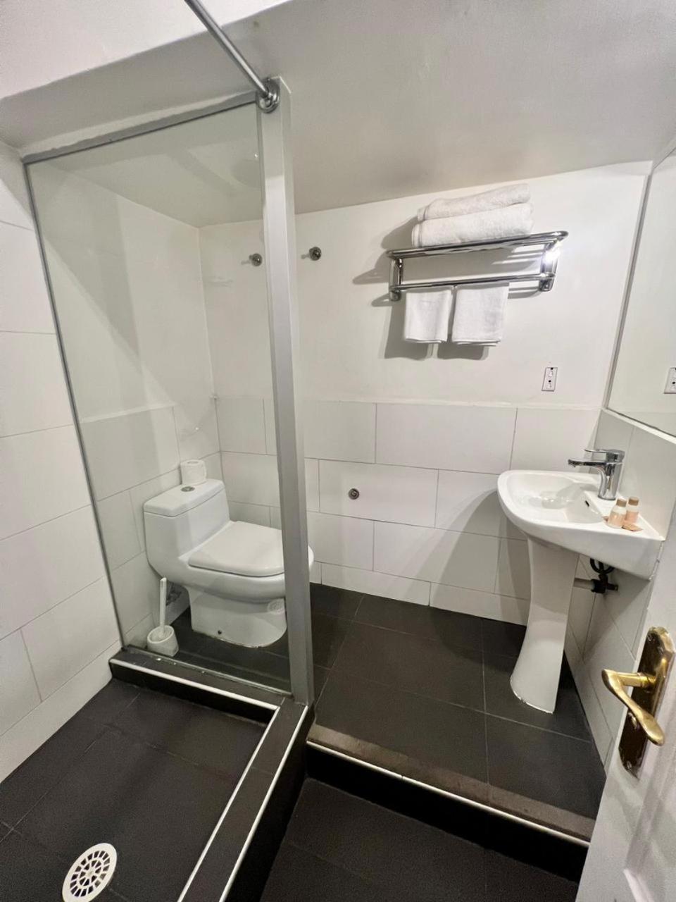Tremo Bellavista Suite Santiago de Chile Zewnętrze zdjęcie